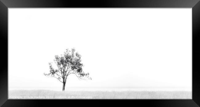 One Tree in the Mist Framed Print by Julie Hartwig