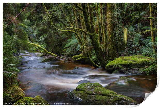 Nelson River Print by Julie Hartwig