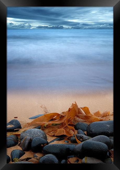 Beach Seaweed Framed Print by Keith Thorburn EFIAP/b