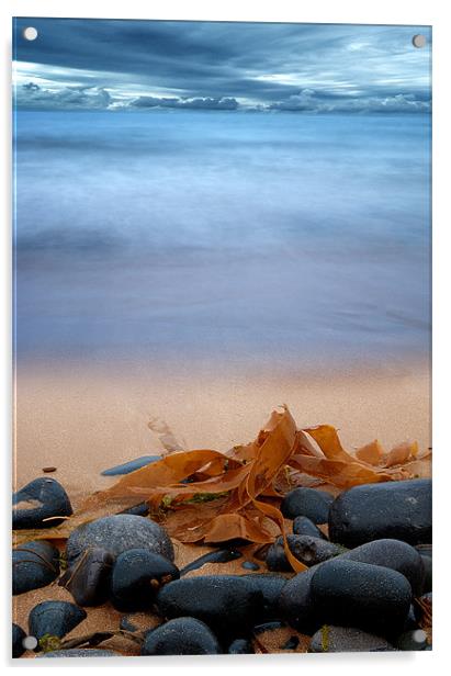 Beach Seaweed Acrylic by Keith Thorburn EFIAP/b