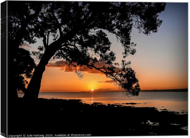 Takapuna Sunrise Canvas Print by Julie Hartwig