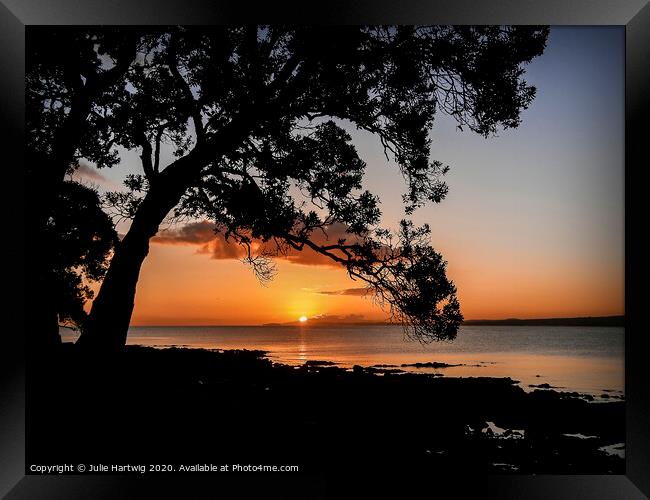 Takapuna Sunrise Framed Print by Julie Hartwig