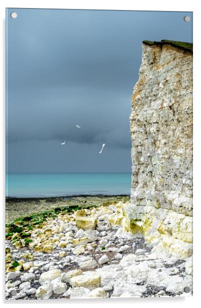 Seagulls Acrylic by Mark Jones