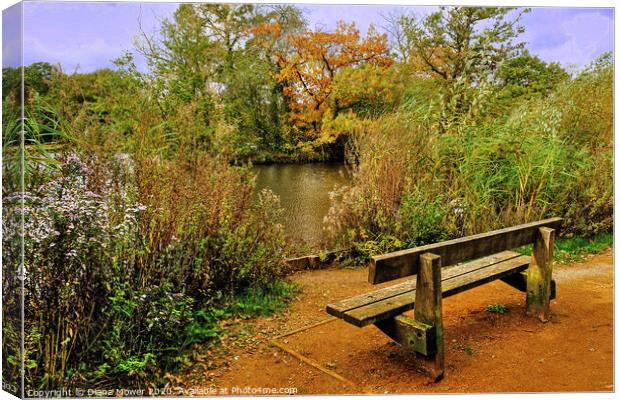  Epping Forest Seat Canvas Print by Diana Mower