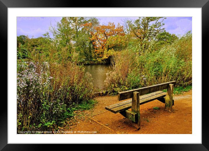  Epping Forest Seat Framed Mounted Print by Diana Mower