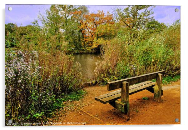  Epping Forest Seat Acrylic by Diana Mower