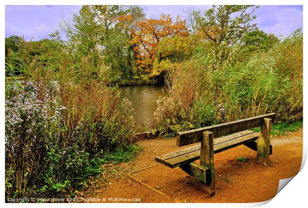  Epping Forest Seat Print by Diana Mower