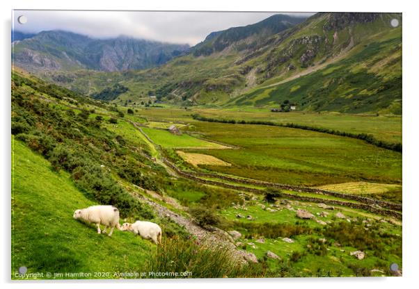 Ogwen Valley Snowdonia Acrylic by jim Hamilton