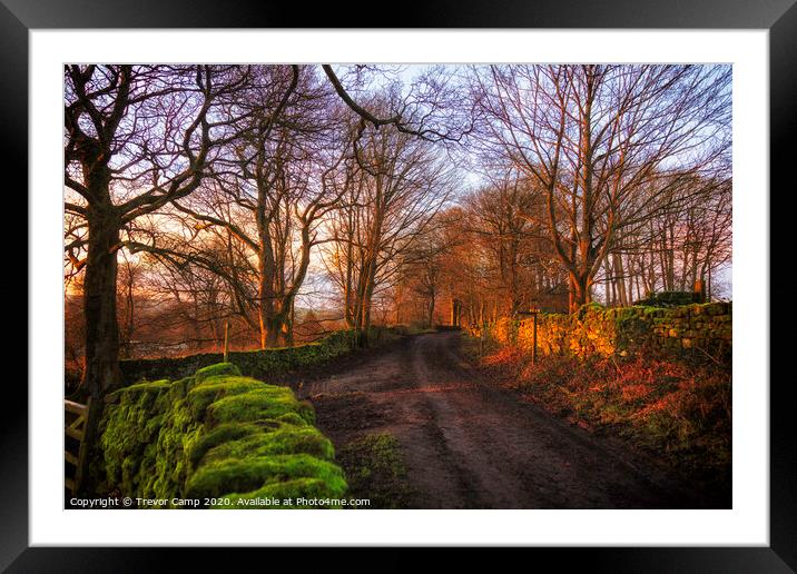 The Bridleway Framed Mounted Print by Trevor Camp