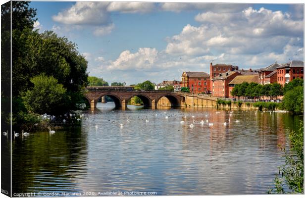 Swans in front of Worcester Bridge Canvas Print by Gordon Maclaren