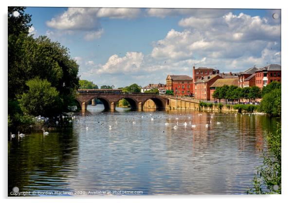 Swans in front of Worcester Bridge Acrylic by Gordon Maclaren