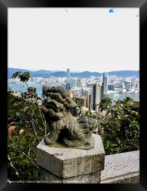 Lion’s eye view of Hong Kong. Framed Print by Gaynor Ball