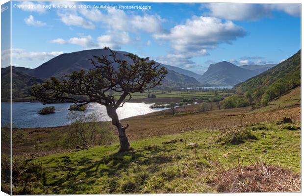 Crummock Water and Buttermere Canvas Print by Reg K Atkinson