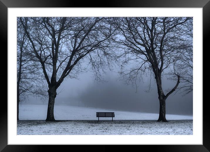 Bench in the park. Framed Mounted Print by Ray Hammond