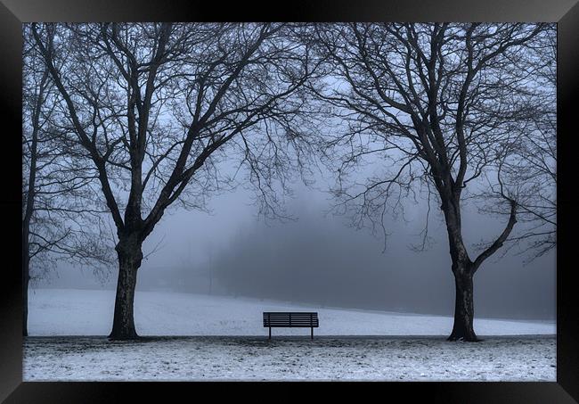 Bench in the park. Framed Print by Ray Hammond