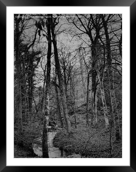 Black and white woods  Framed Mounted Print by Rachael Smith