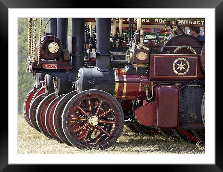 Steam traction engine line up Framed Mounted Print by Tony Bates