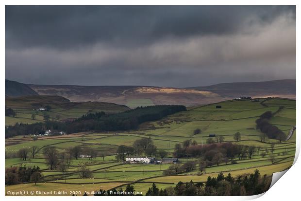 Bright and Damp Upper Teesdale 3 Print by Richard Laidler