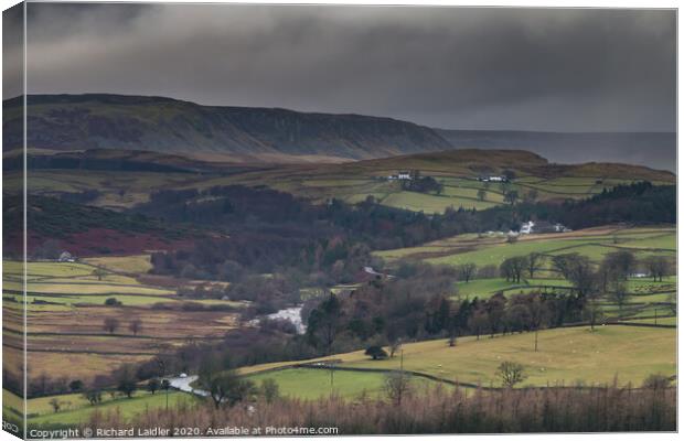 Bright and Damp Upper Teesdale 4 Canvas Print by Richard Laidler