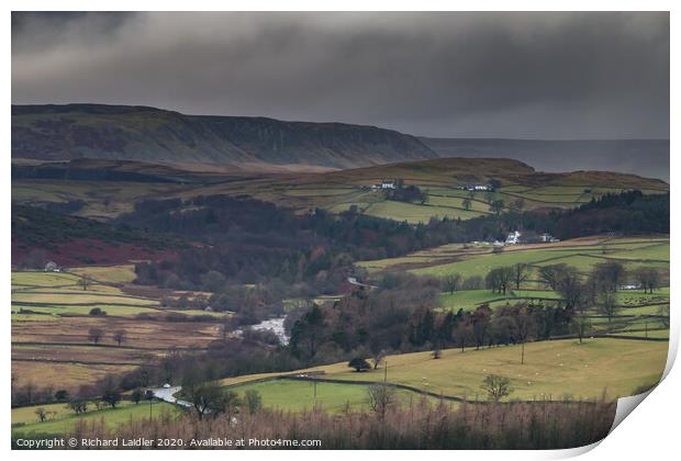 Bright and Damp Upper Teesdale 4 Print by Richard Laidler