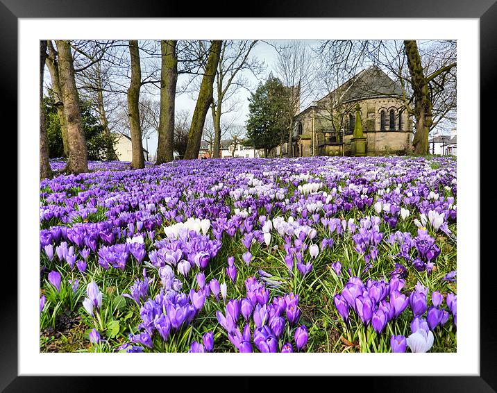 St Chads Church in Springtime.. Framed Mounted Print by Lilian Marshall