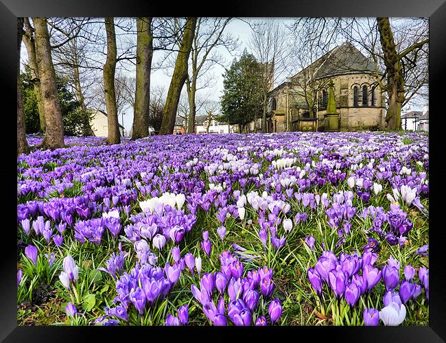 St Chads Church in Springtime.. Framed Print by Lilian Marshall