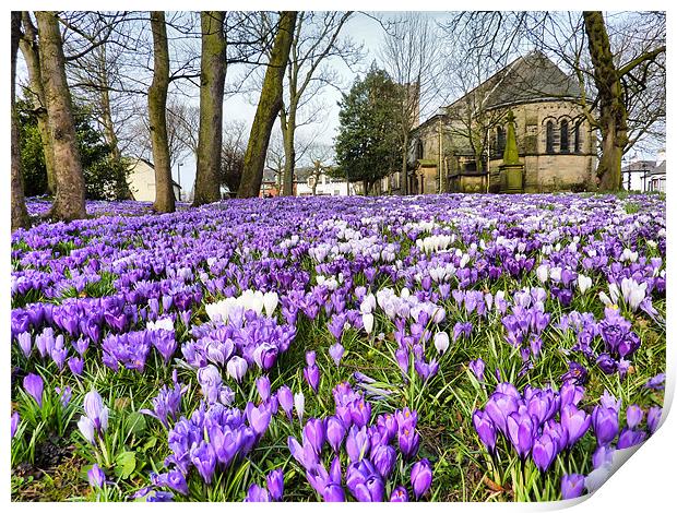 St Chads Church in Springtime.. Print by Lilian Marshall