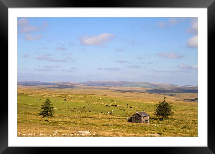 Nun's Cross Farm, Dartmoor, UK Framed Mounted Print by Colin Tracy