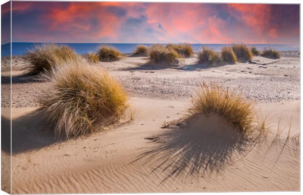 covehithe beach and dunes  Canvas Print by Kevin Snelling