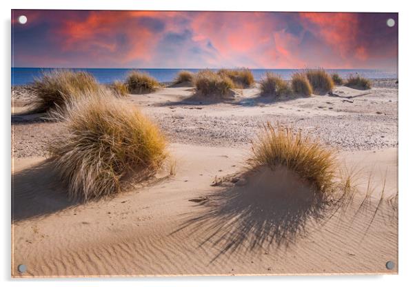 covehithe beach and dunes  Acrylic by Kevin Snelling