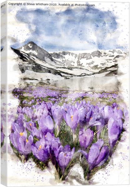 The awakening of spring. Canvas Print by Steve Whitham