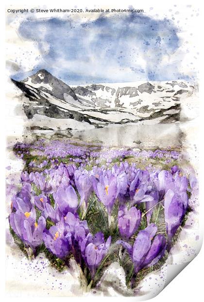 The awakening of spring. Print by Steve Whitham