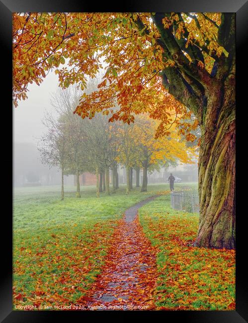 A jogger out for a run in the park during a misty Autumn day Framed Print by Iain McLeod