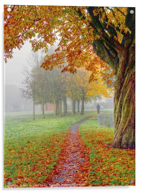 A jogger out for a run in the park during a misty Autumn day Acrylic by Iain McLeod
