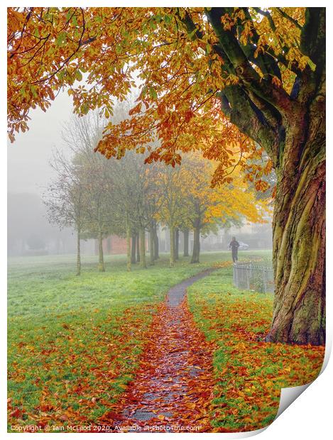 A jogger out for a run in the park during a misty Autumn day Print by Iain McLeod