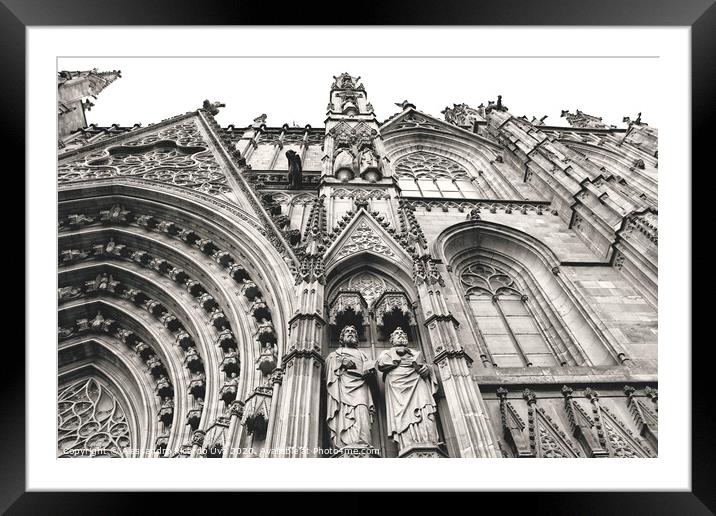 Barcelona cathedral Framed Mounted Print by Alessandro Ricardo Uva