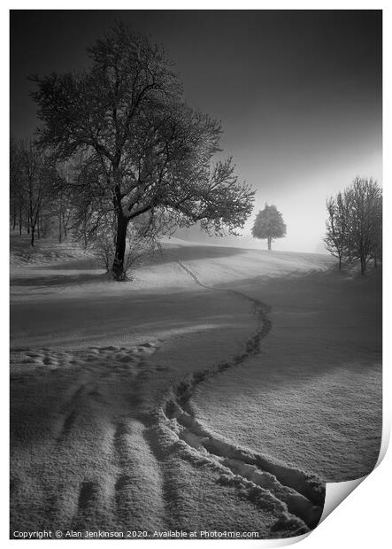 A Winters Trail Print by Alan Jenkinson