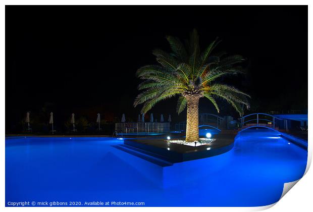Palm Tree Pool at night Print by mick gibbons