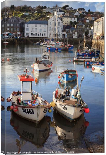 Mevagissey Boats Canvas Print by Andrew Ray