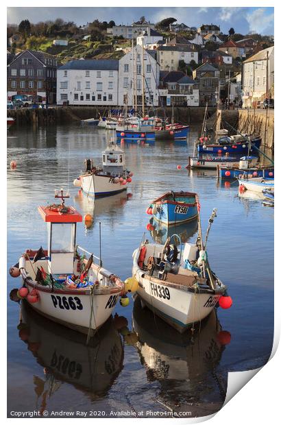 Mevagissey Boats Print by Andrew Ray