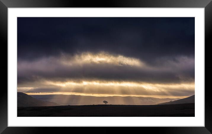 Crookstone hill lone tree at sunrise   Framed Mounted Print by John Finney