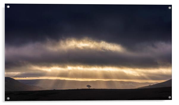 Crookstone hill lone tree at sunrise   Acrylic by John Finney