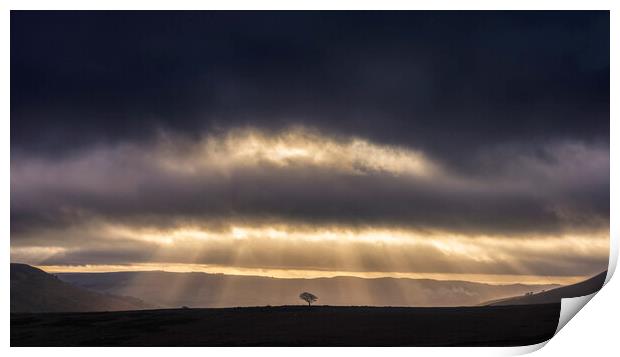 Crookstone hill lone tree at sunrise   Print by John Finney