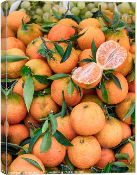 Clementines on a farmers market in Rome, Italy Canvas Print by Frank Bach