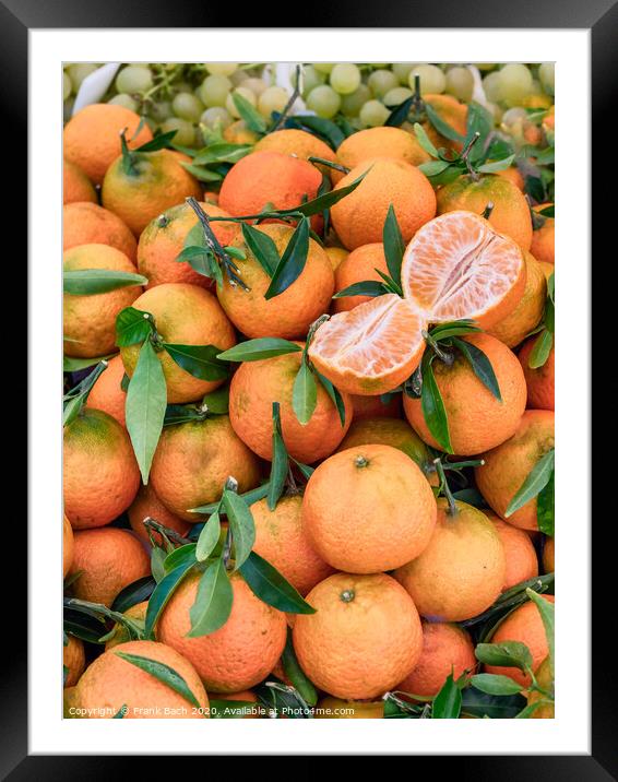 Clementines on a farmers market in Rome, Italy Framed Mounted Print by Frank Bach