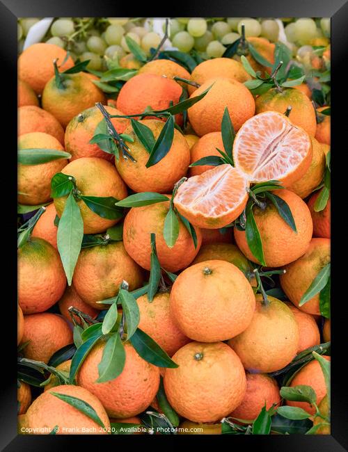 Clementines on a farmers market in Rome, Italy Framed Print by Frank Bach