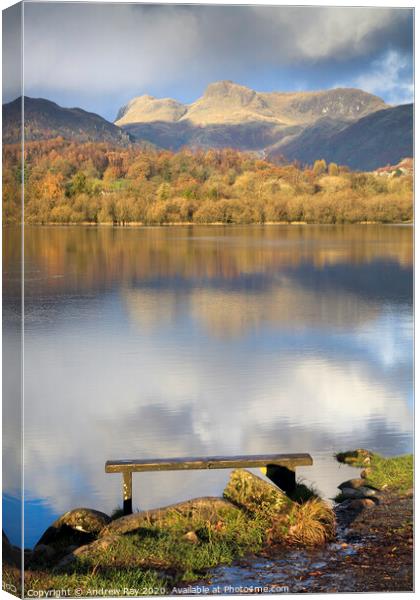 Elterwater Reflections Canvas Print by Andrew Ray