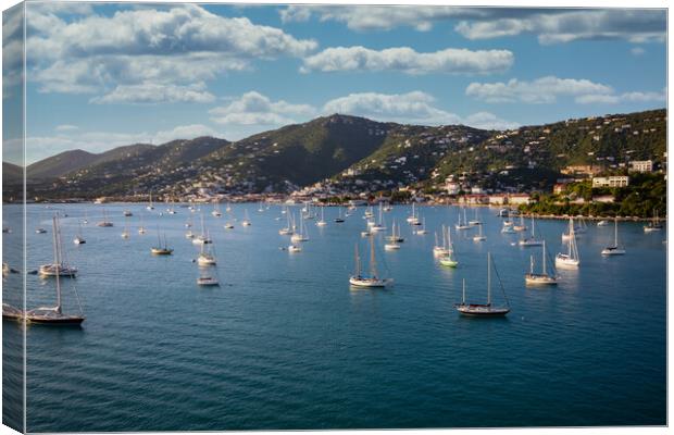 Port of St.Thomas Canvas Print by Hectar Alun Media