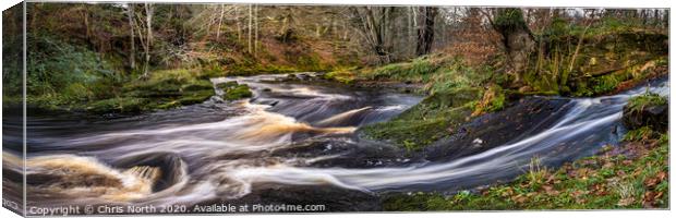 Autumn river on the River Washburn, Yorkshire Dales. Canvas Print by Chris North