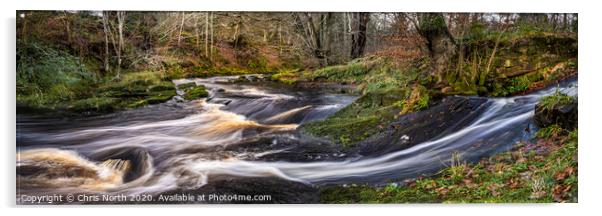 Autumn river on the River Washburn, Yorkshire Dales. Acrylic by Chris North